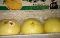 熊本の晩白柚