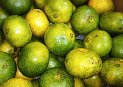 �{��̃O���[���n�E�X2S