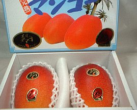 宮崎マンゴー 太陽の卵 西都